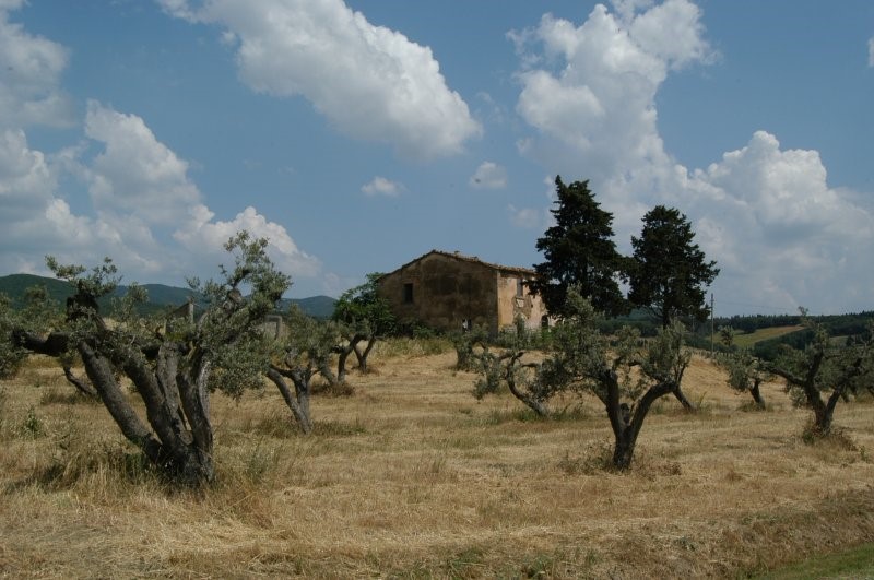 BIBBONA CAMPAGNA